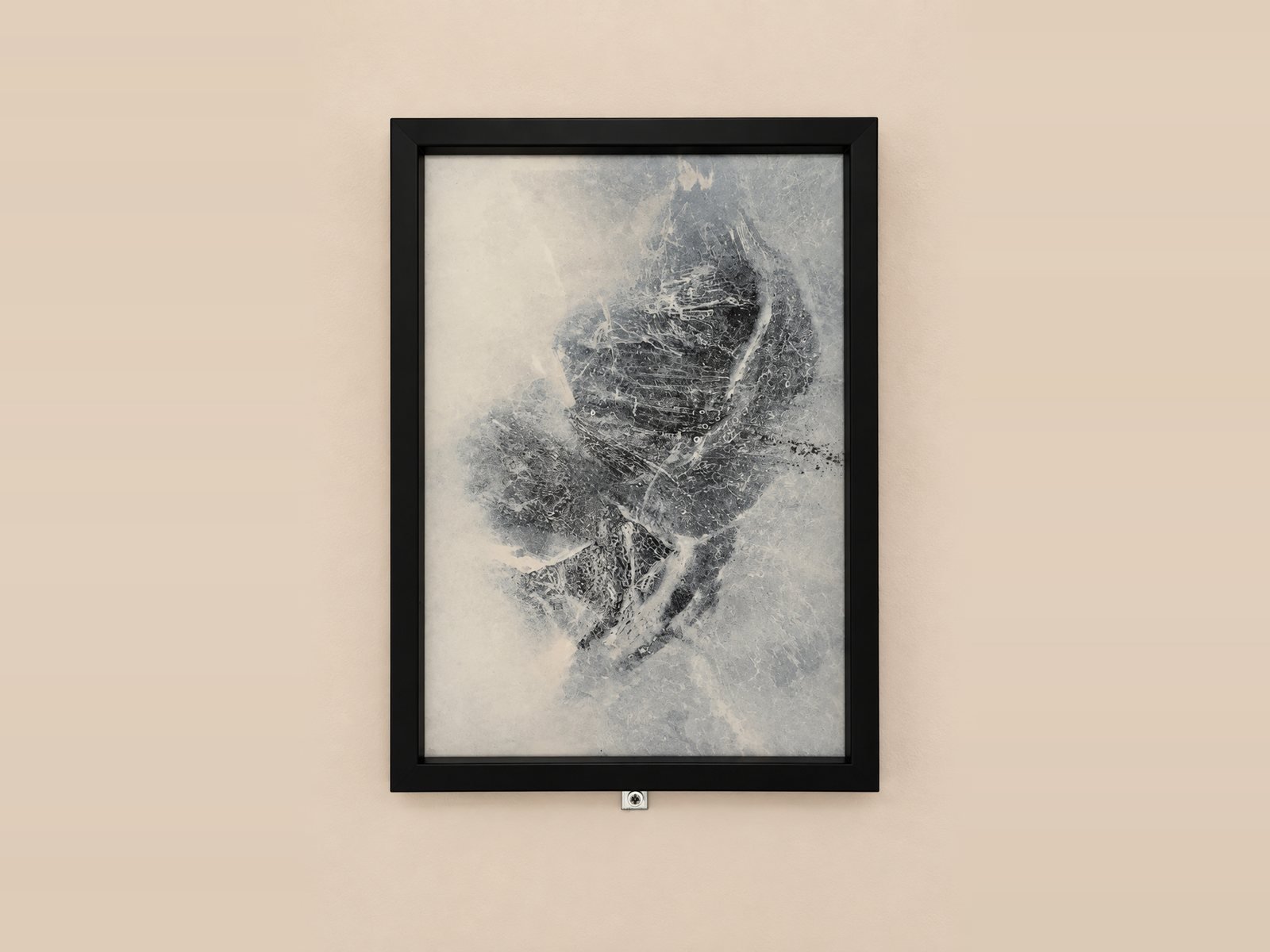 Erica Bardi — Untitled (from As long as the Sun lasts), 2025